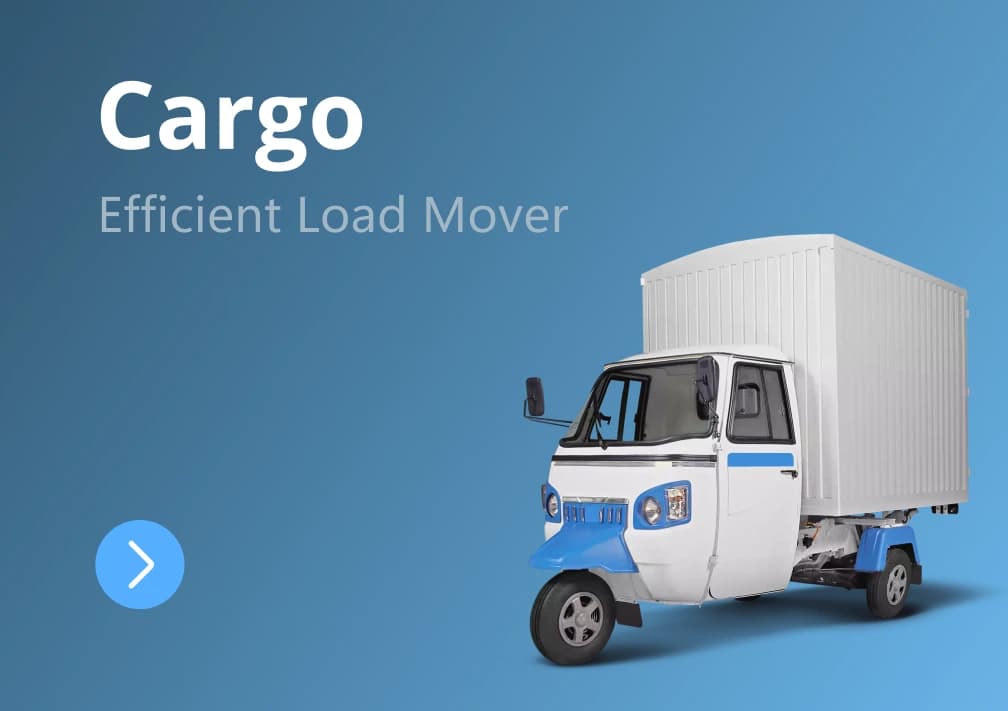 Cargo 3 Wheelers