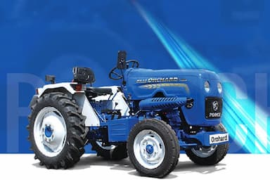 force Orchard DLX