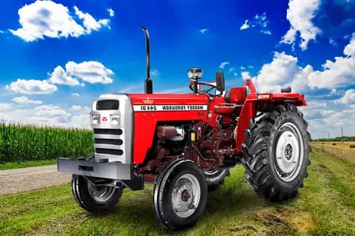 Massey Ferguson 244 DI Sona Massey Ferguson 244 DI Sona