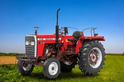 Massey Ferguson 254 Dynatrack 2WD Massey Ferguson 254 Dynatrack 2WD