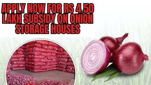 Apply Now for Rs 4.50 Lakh Subsidy on Onion Storage Houses